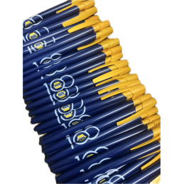 STYLO 100 ANS - LOT DE 100
